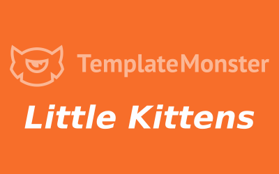 Country Stock Muziek - Kleine Kittens Lied