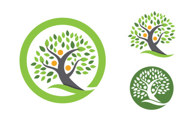 Modello di progettazione dell&amp;#39;illustrazione dell&amp;#39;icona vettoriale dell&amp;#39;albero genealogico v.6