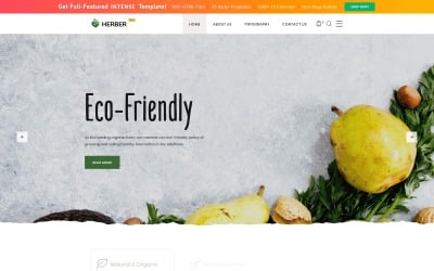 Free Website Template for Food Delivery Website Template