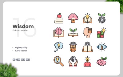 16 Wisdom Colored Icons Set