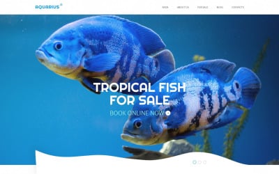 Duyarlı Balık Web Sitesi Şablonu