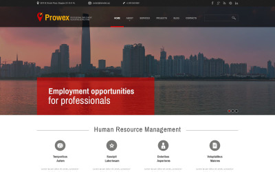 Profesjonalny motyw WordPress dotyczący zatrudnienia