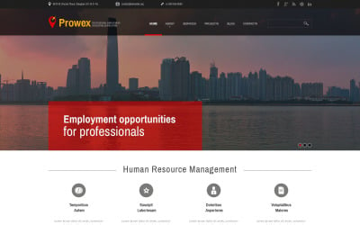 WordPress-tema för professionell sysselsättning