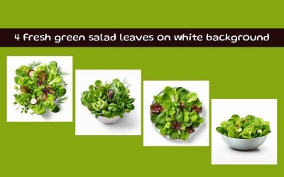 Fresh green salad leaves on white background