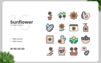 16 向日葵彩色图标集