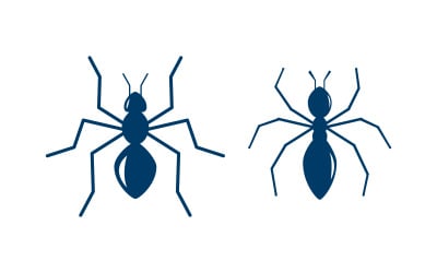 Ant Logo vector icon illustration design template v.2