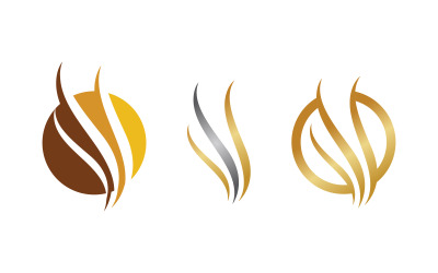 Flames Logo icon illustration vector design template vv.35