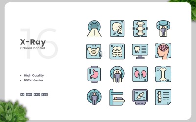 16 X-Ray Colored Icons Set