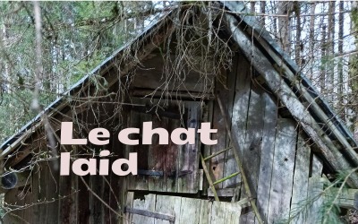 Le chat Laid-Afroelectro-Afropop-Neotraditional
