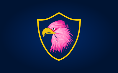 Creative Eagle Logo Design