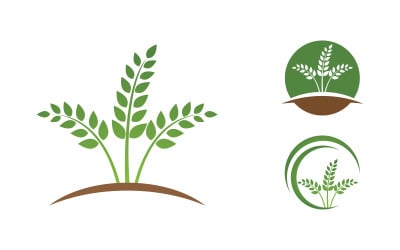 Plantilla de diseño de logotipo de concepto de hoja de árbol ecológico de vida saludable v.2
