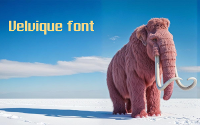 Velvique font-Regular-087-25