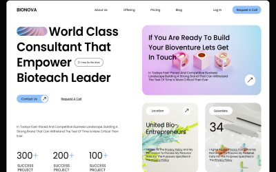 Binora - Business Consulting Website Hero