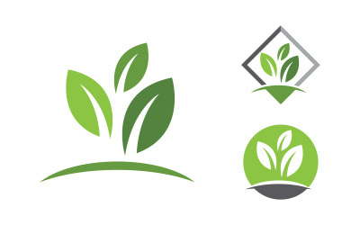 Diseño vectorial de elementos de naturaleza verde con hojas de árbol ecológico v.6