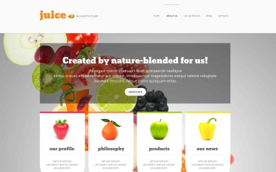 Responsive Food Store Responsive WordPress Theme #52695