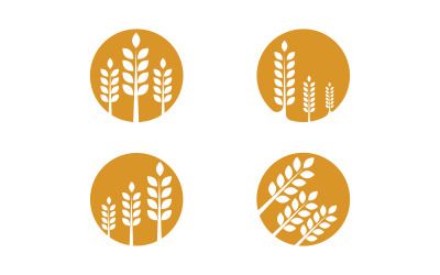 Farm Agriculture wheat rice vector illustration design v.3