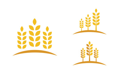 Farm Agriculture wheat rice vector illustration design v.4