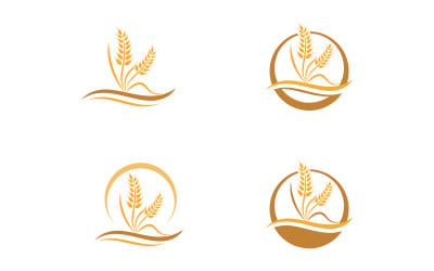 Farm Agriculture wheat rice vector illustration design v.7