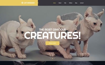 Modelo de site de criadores de gatos