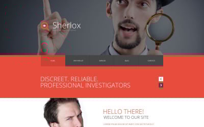 私人调查网站模板