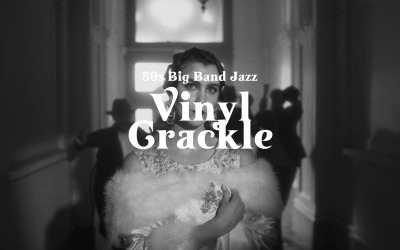 黑胶唱片中的灵魂乐 / 50 年代大乐队爵士乐
