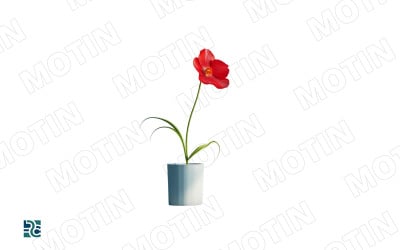 Bright red flower in a white pot against a minimalist background