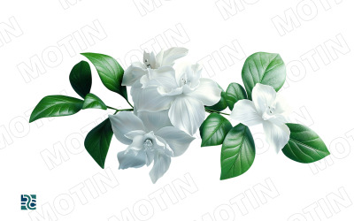 Vita jasminblommor arrangerade med gröna blad skapar en naturlig och elegant uppvisning
