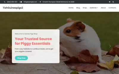 TishGuineaPigs2 - тема WooCommerce «Морские свинки»