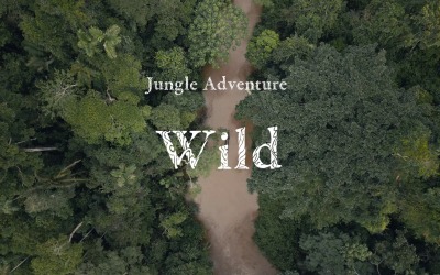 Danse avec le danger / Aventure dans la jungle