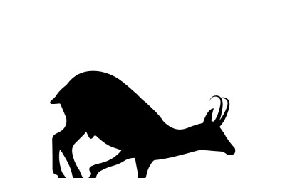 Majestic Chamois Silhouette Descending Alpine Mountain Slope