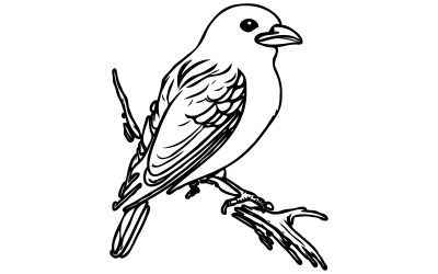 A bird vector art illustration
