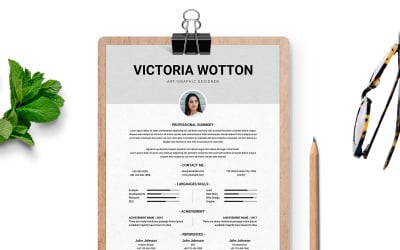 Professional Resume 3 Pages