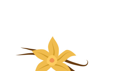 Vanilla Orchid Botanical Illustration with Beans Vector Art