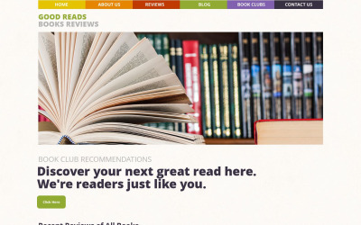 "Books Reviews" Responsive WordPress thema №53486