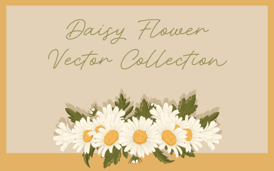 Daisy Flower Vector Collectie