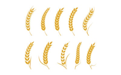 Agriculture Ferme blé riz illustration vectorielle conception v3.7