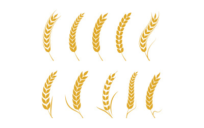Landbouwboerderij tarwe rijst vectorillustratie ontwerp v3.7