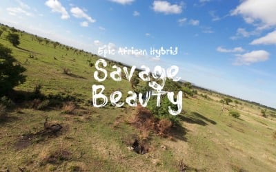 Elegance In Chaos / Epic African Hybrid