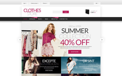 Shopping in Style Shopify Theme