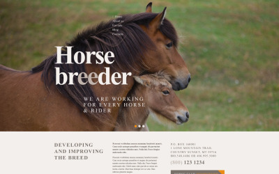Motyw WordPress dla hodowców koni