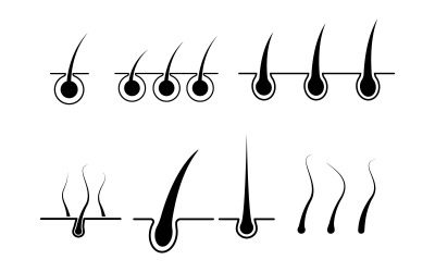 Ilustração de ícone vetorial médico para cabelo, modelo v.2