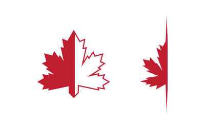 Maple leaf icon vector illustration logo template v3.4
