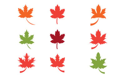 Maple leaf icon vector illustration logo template v3.5