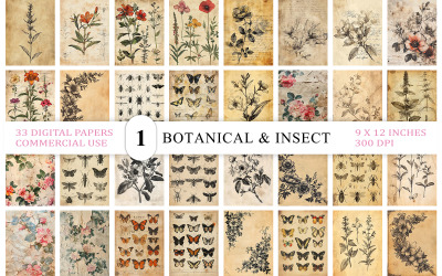Antique Nature Journal Page | Botanical Butterfly Collage Sheet | Old Paper Botanical Illustration