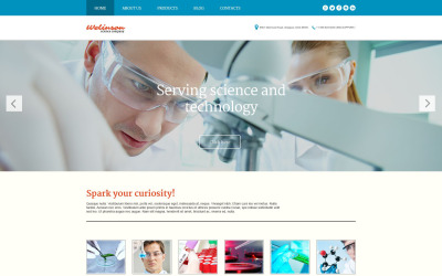 "Welinson" - адаптивний WordPress шаблон №54046