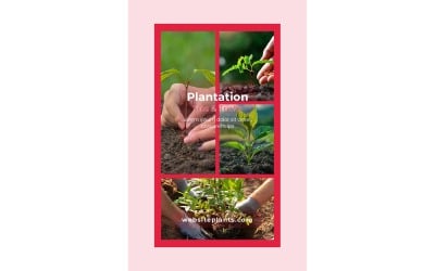 Instagram Stories Plantation Tips