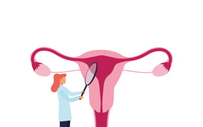Female Gynecologist Tracking Menstrual Cycle Reproductive System Illustration