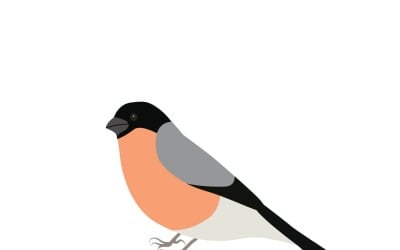 Cute Cartoon Bullfinch Bird Vector Illustration