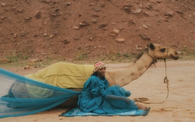 Night in Arabia-Arabian Culture