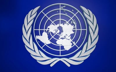 3D UN emblem _United_Nations